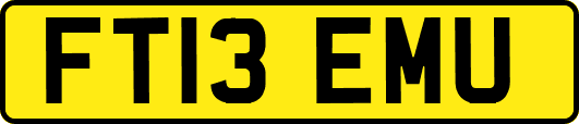 FT13EMU
