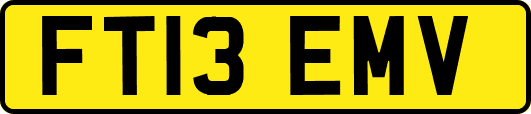 FT13EMV