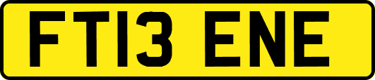 FT13ENE