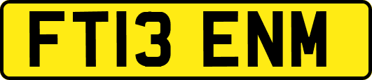 FT13ENM