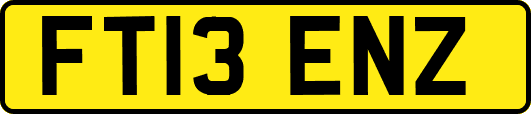FT13ENZ