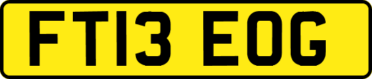 FT13EOG