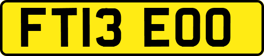 FT13EOO
