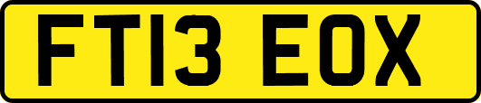 FT13EOX
