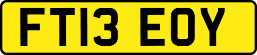 FT13EOY