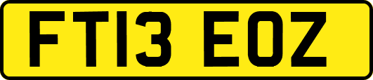 FT13EOZ