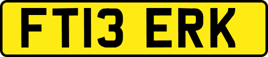 FT13ERK