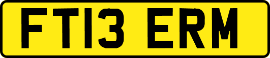 FT13ERM