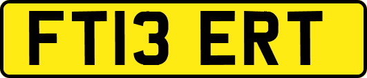 FT13ERT