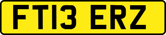 FT13ERZ