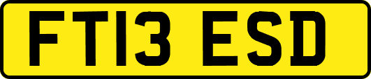 FT13ESD