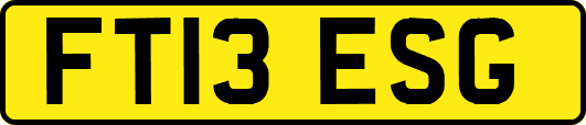 FT13ESG