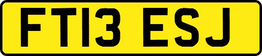 FT13ESJ