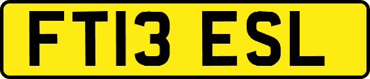 FT13ESL