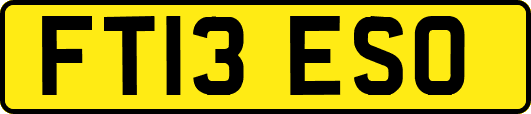 FT13ESO