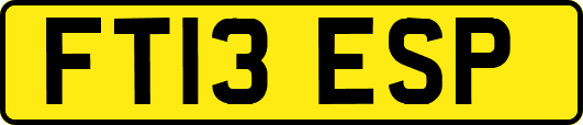 FT13ESP