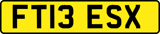 FT13ESX