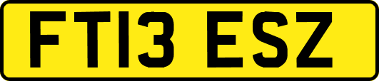 FT13ESZ