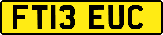 FT13EUC