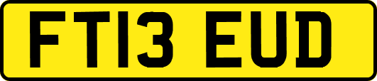 FT13EUD