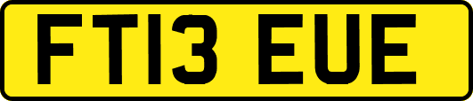 FT13EUE