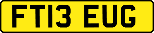 FT13EUG