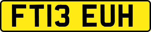 FT13EUH