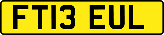 FT13EUL