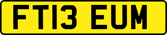 FT13EUM