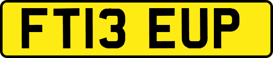 FT13EUP