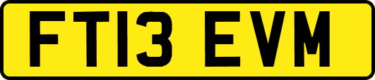 FT13EVM