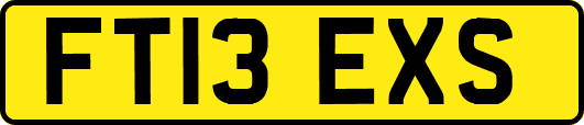 FT13EXS