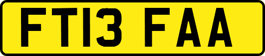 FT13FAA