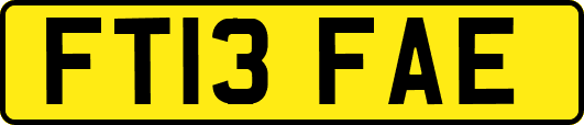 FT13FAE