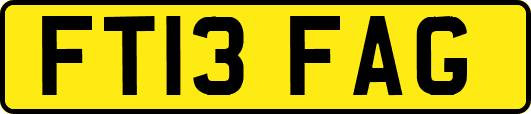 FT13FAG