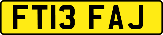 FT13FAJ
