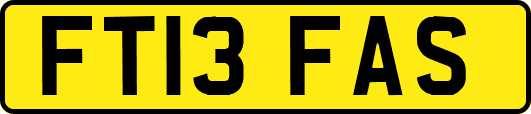 FT13FAS