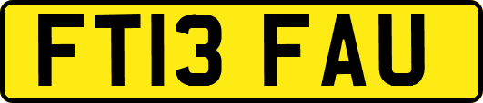 FT13FAU