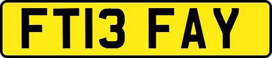 FT13FAY