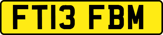 FT13FBM