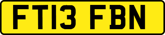 FT13FBN