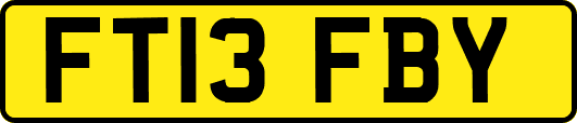 FT13FBY