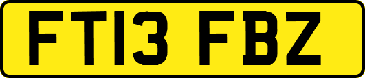 FT13FBZ
