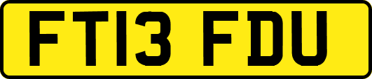 FT13FDU