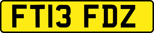 FT13FDZ