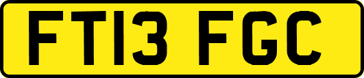 FT13FGC
