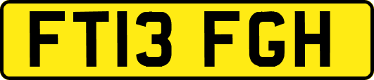 FT13FGH