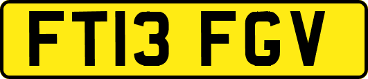 FT13FGV
