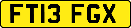 FT13FGX