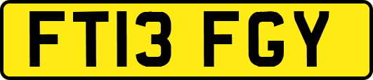 FT13FGY